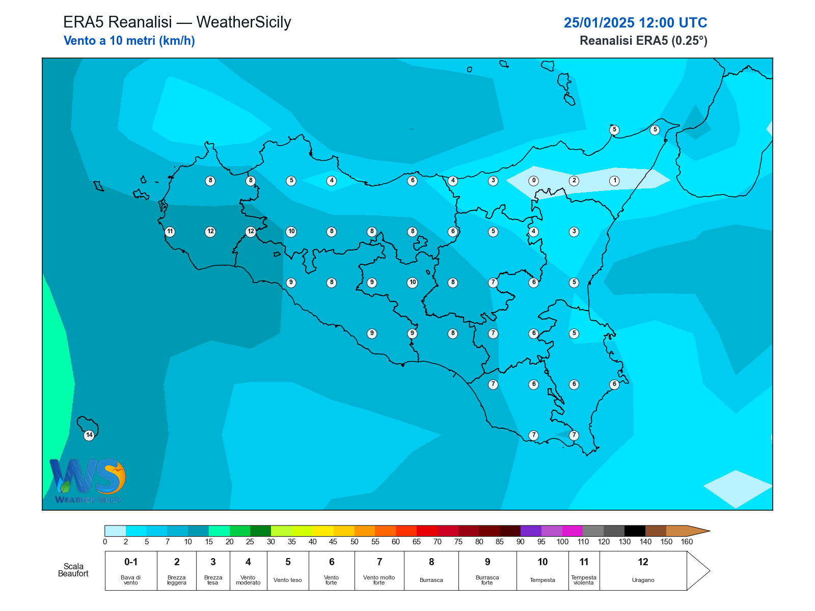 Vento a 10 metri · 2025012512